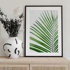 Green Palm Leaf