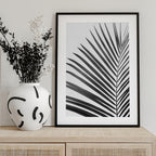BW Palm Leaf