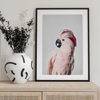 Pink Cockatoo