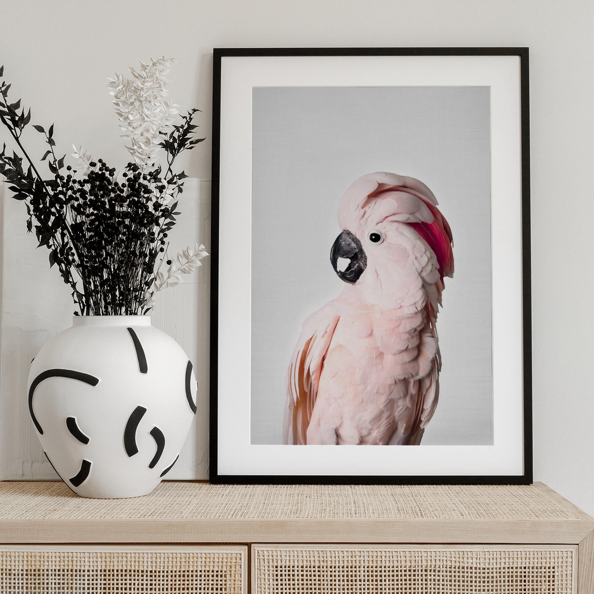 Pink Cockatoo