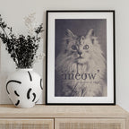 Famous Quote Cat