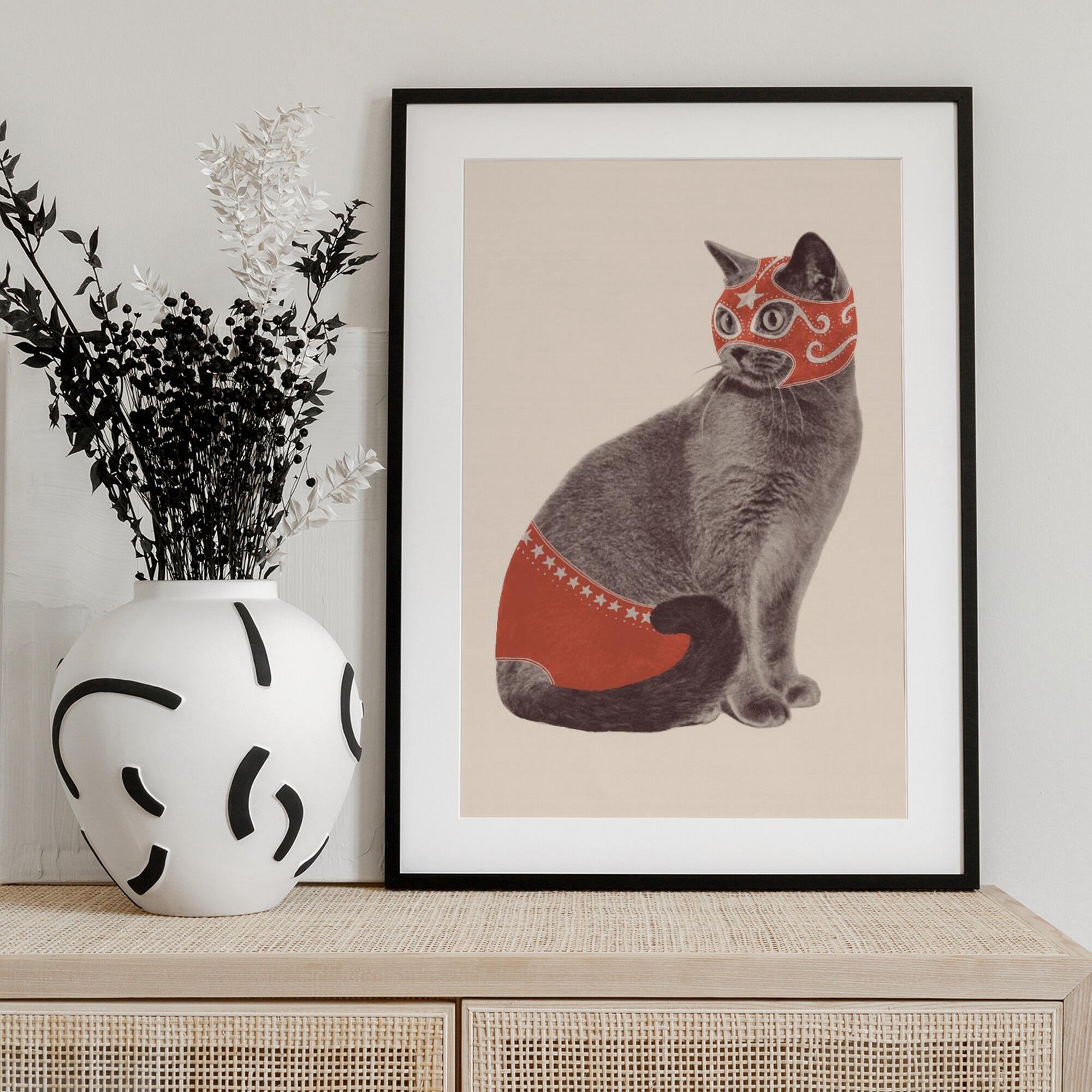Chat Catcheur