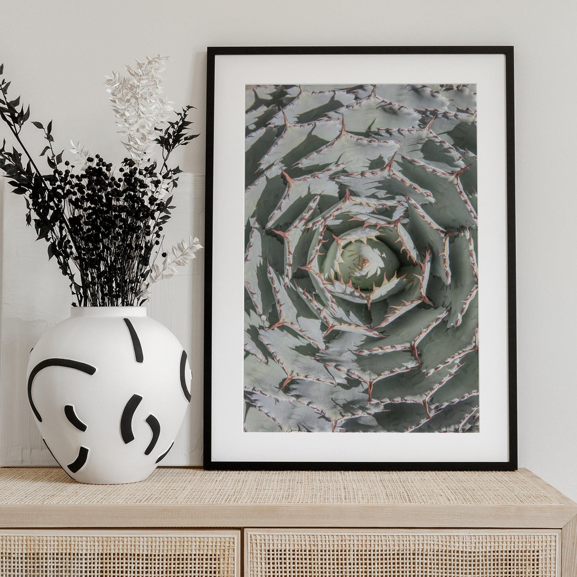 Spiral Succulent Maze
