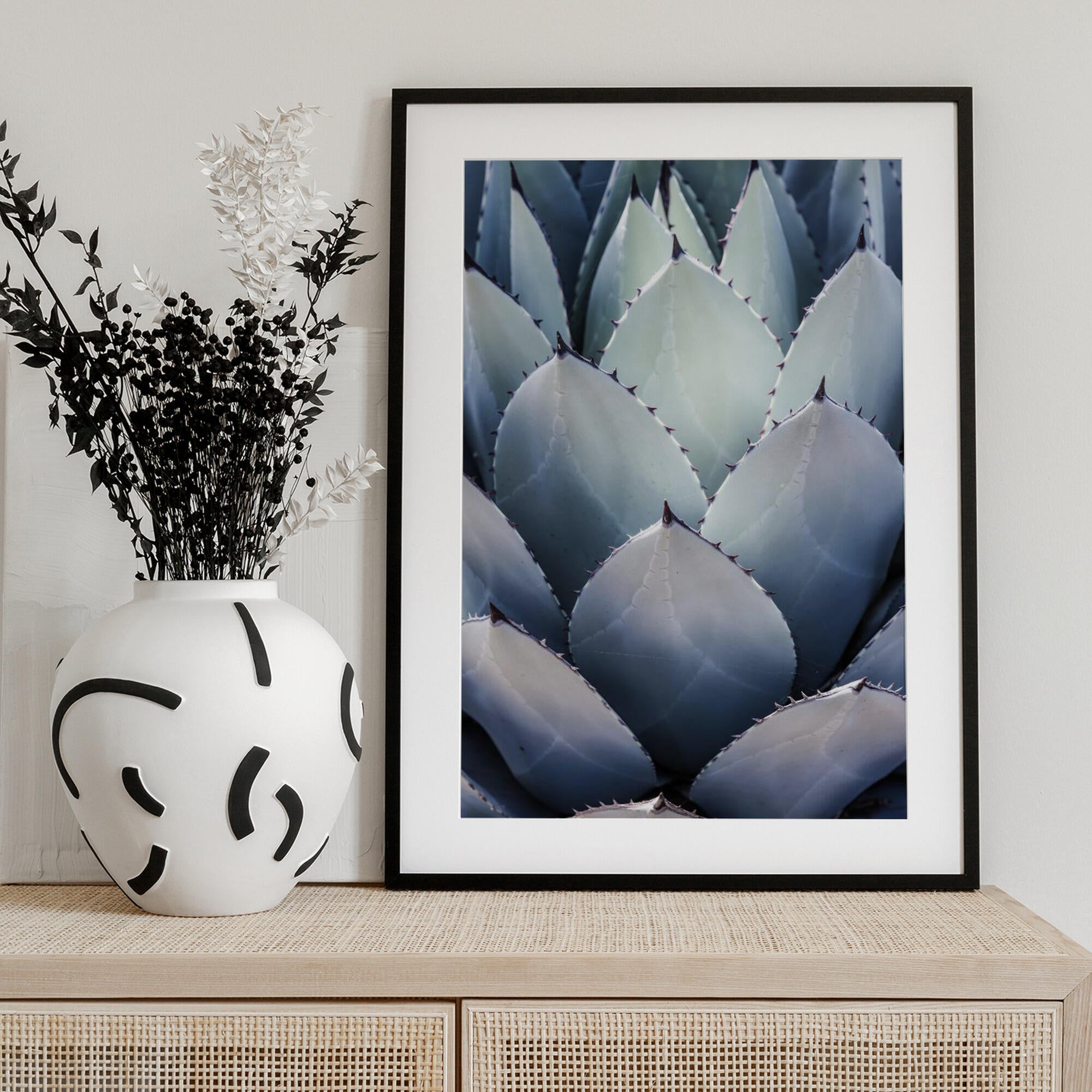 Agave Geometry