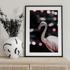 Flamingo Elegance
