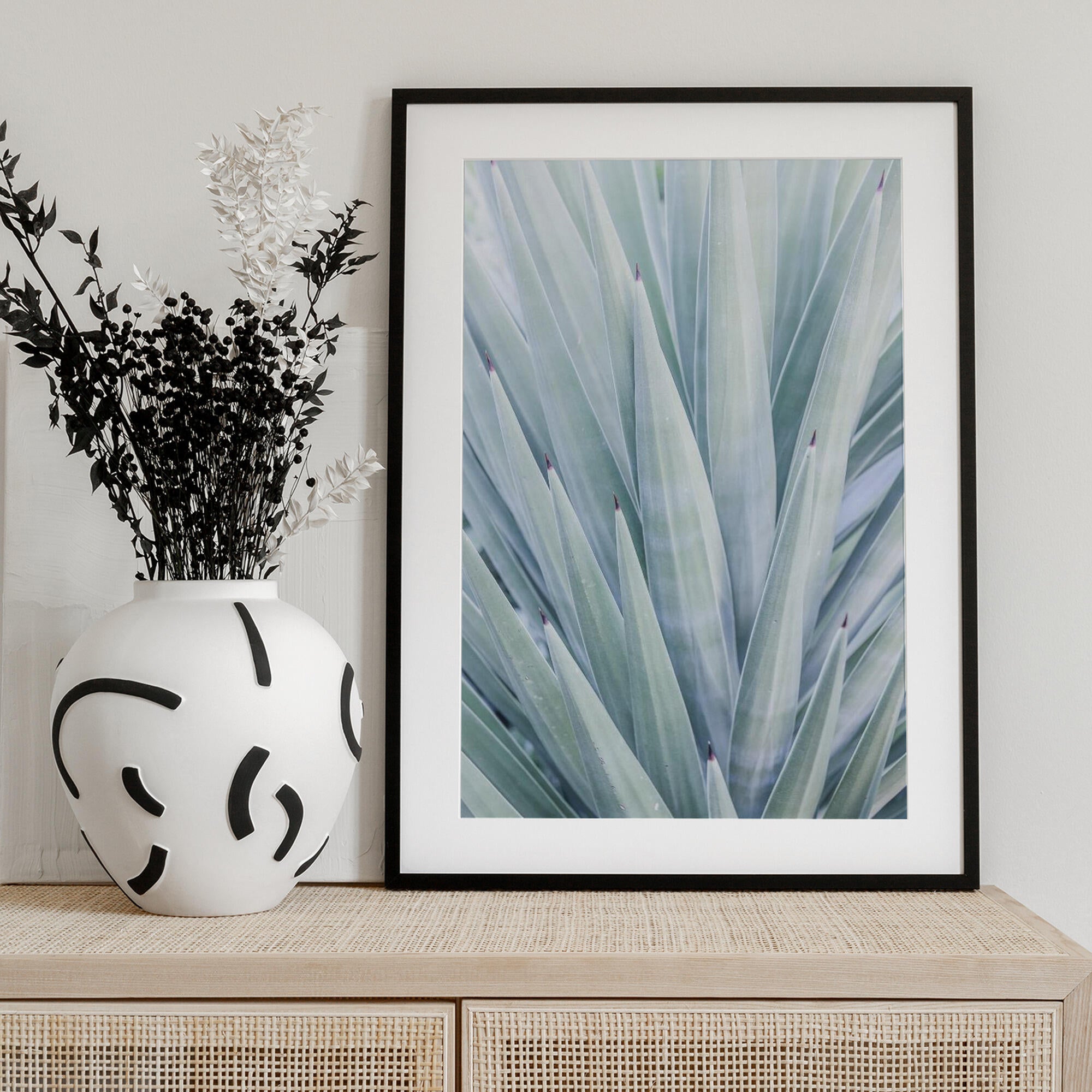 Azure Agave Dance