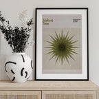 Starburst Flora