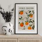 Orange Elegance