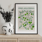 Botanical Lime Bliss