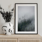 Foggy Morning 2