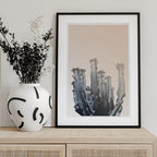 Cactus Silhouettes