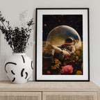 My Space Observatory