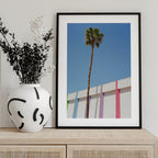 Palm Springs II