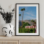 Palm Springs Pink House
