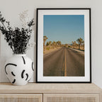 Joshua Tree Road II