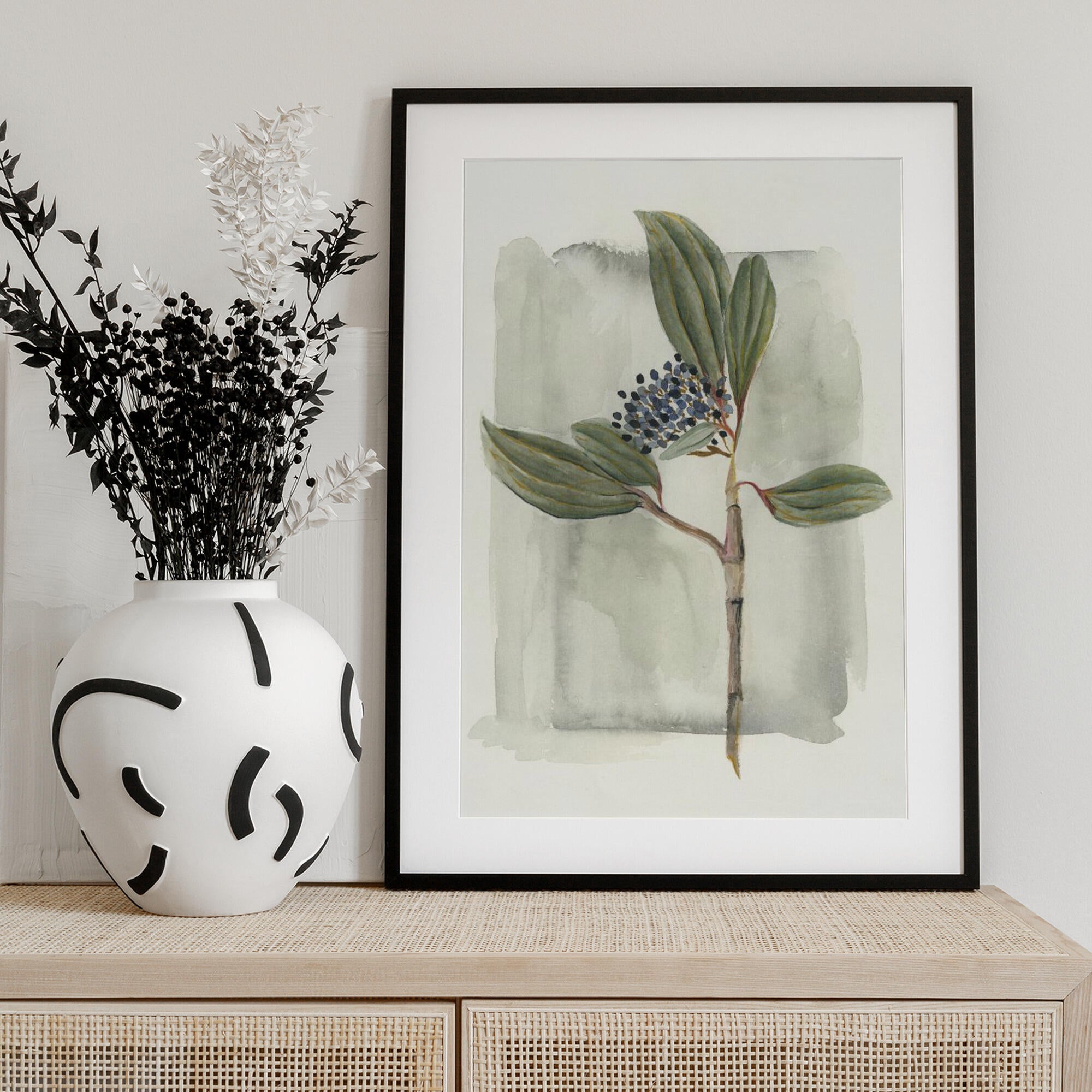 Viburnum davidii