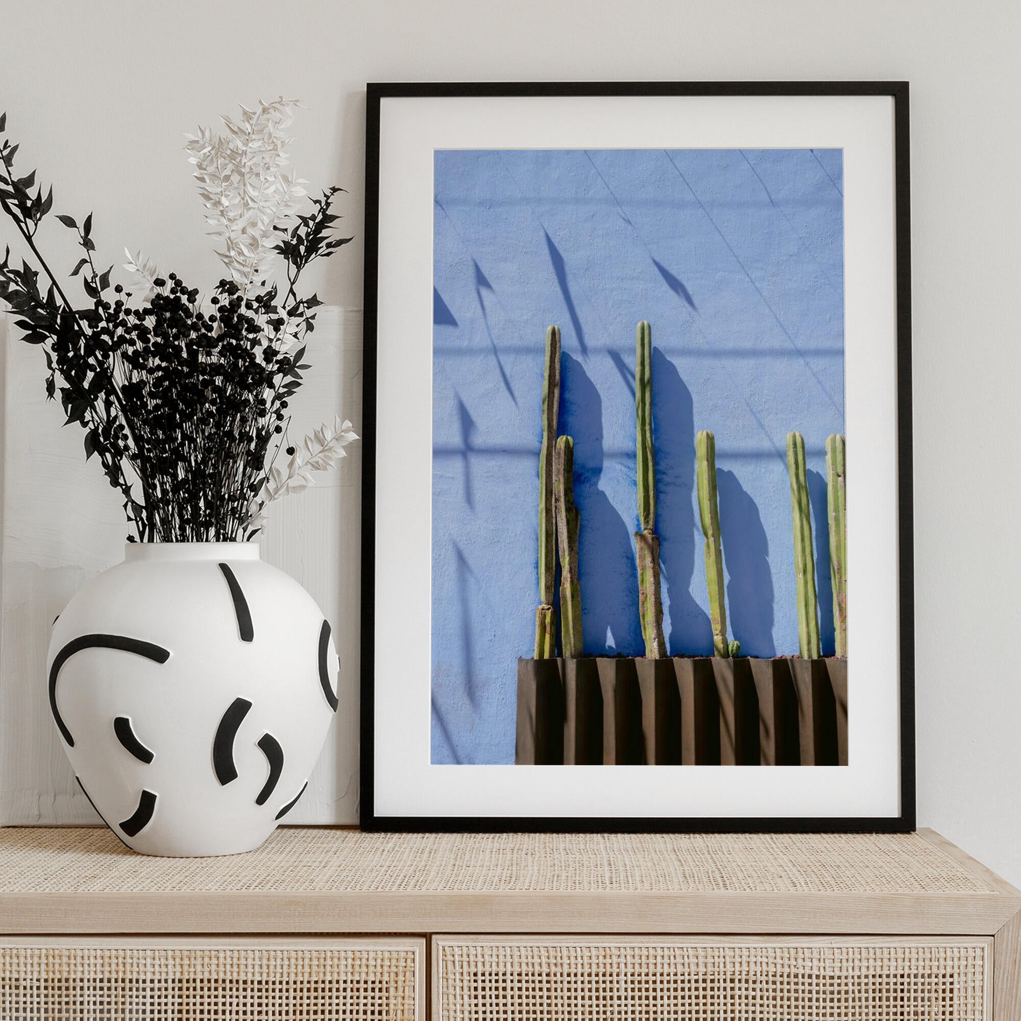 Tall Cacti | Oaxaca Mexico travel photography