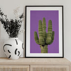 Purple Cactus