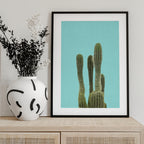 Turquoise Cactus
