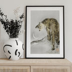Roaring Tiger