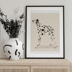 Pandc Dalmation