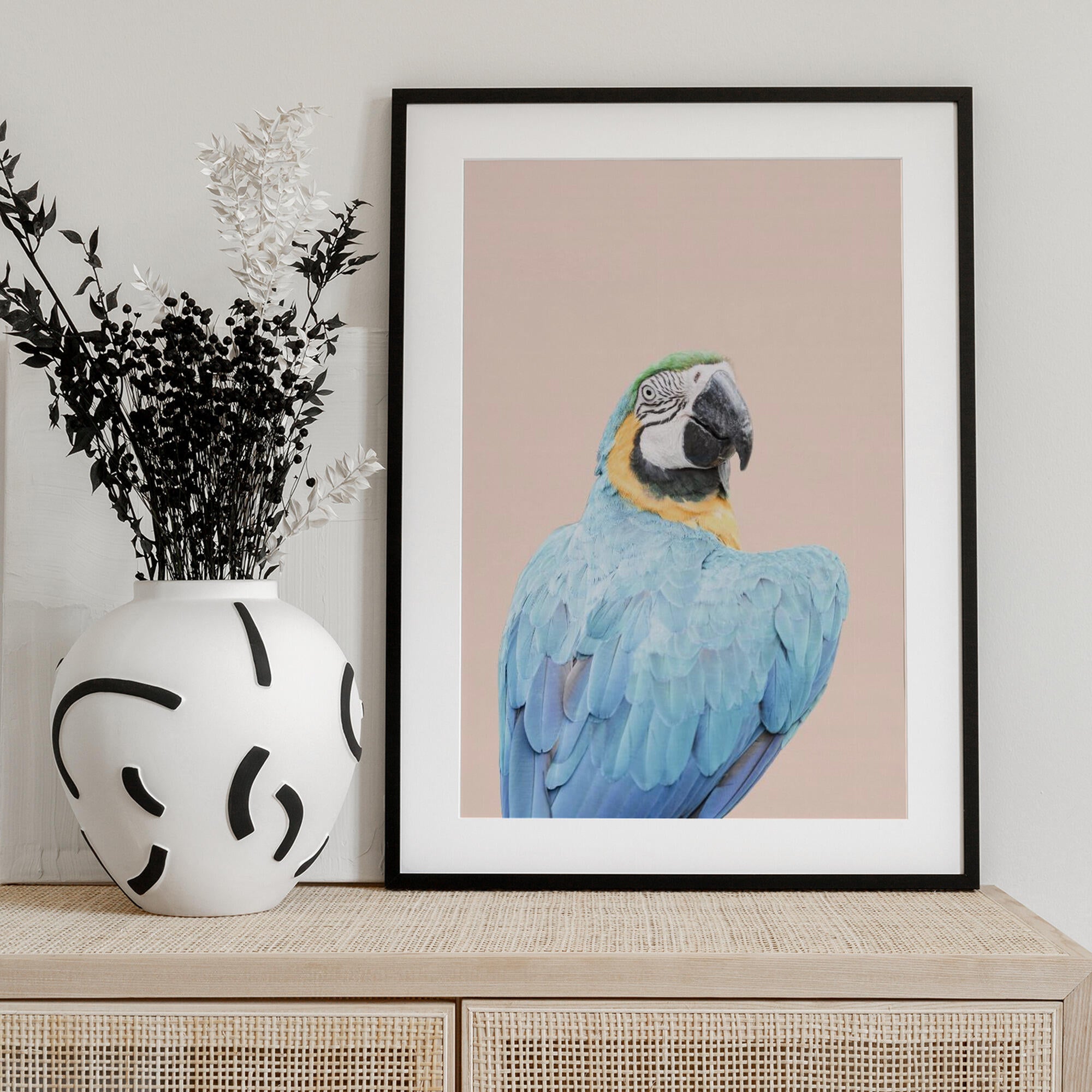 Blue Macaw