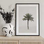 Palm