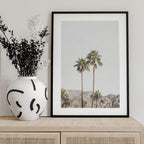 Palm Springs Palms