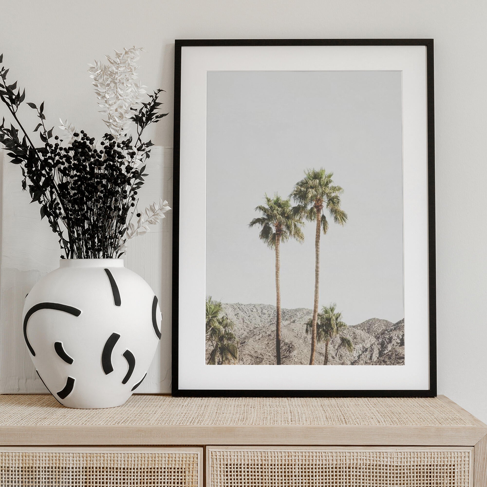 Palm Springs Palms