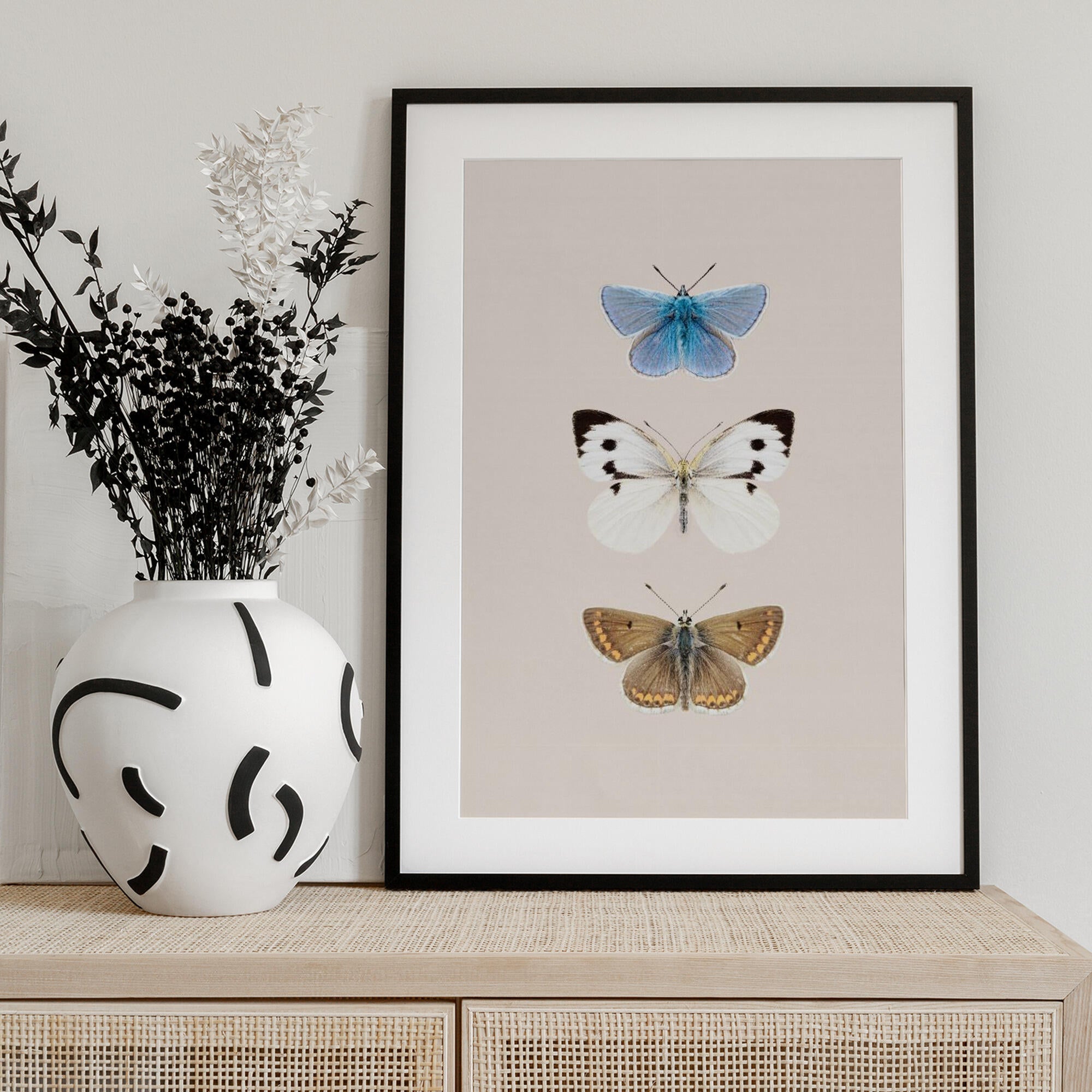 English Butterlies 2
