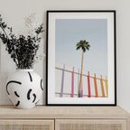 Palm Spring Colors 2
