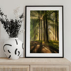 Golden Forest Path