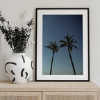 Tropical Palm Silhouettes