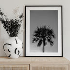 Striking Palm Silhouette