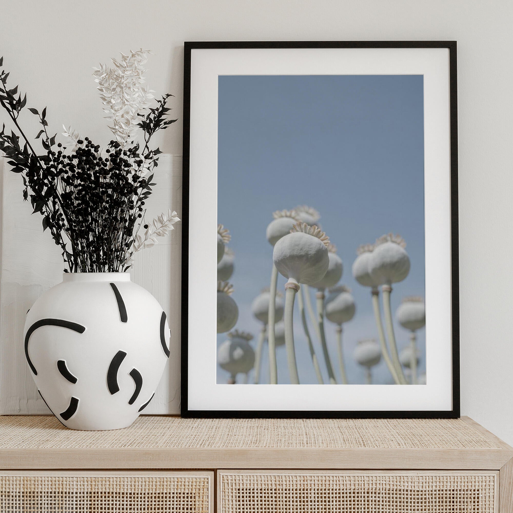 Poppyseed bulbs in mint and retro blue - nature photography
