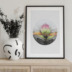 Protea Sunset Bloom
