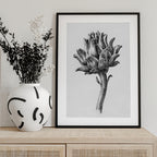 Artichoke By Jean Bernard