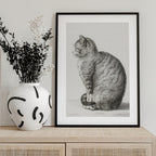 Sitting Cat (1815)