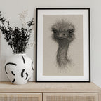 Friendly Emu Sketch