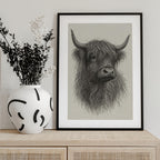 Shaggy Highland Bull