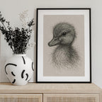 Fluffy Duckling Sketch