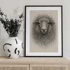 Textured Wool Sheep