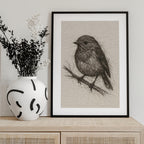 Small Bird Sketch