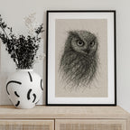 Scribbled Owl Gaze