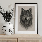 Detailed Wolf Drawing