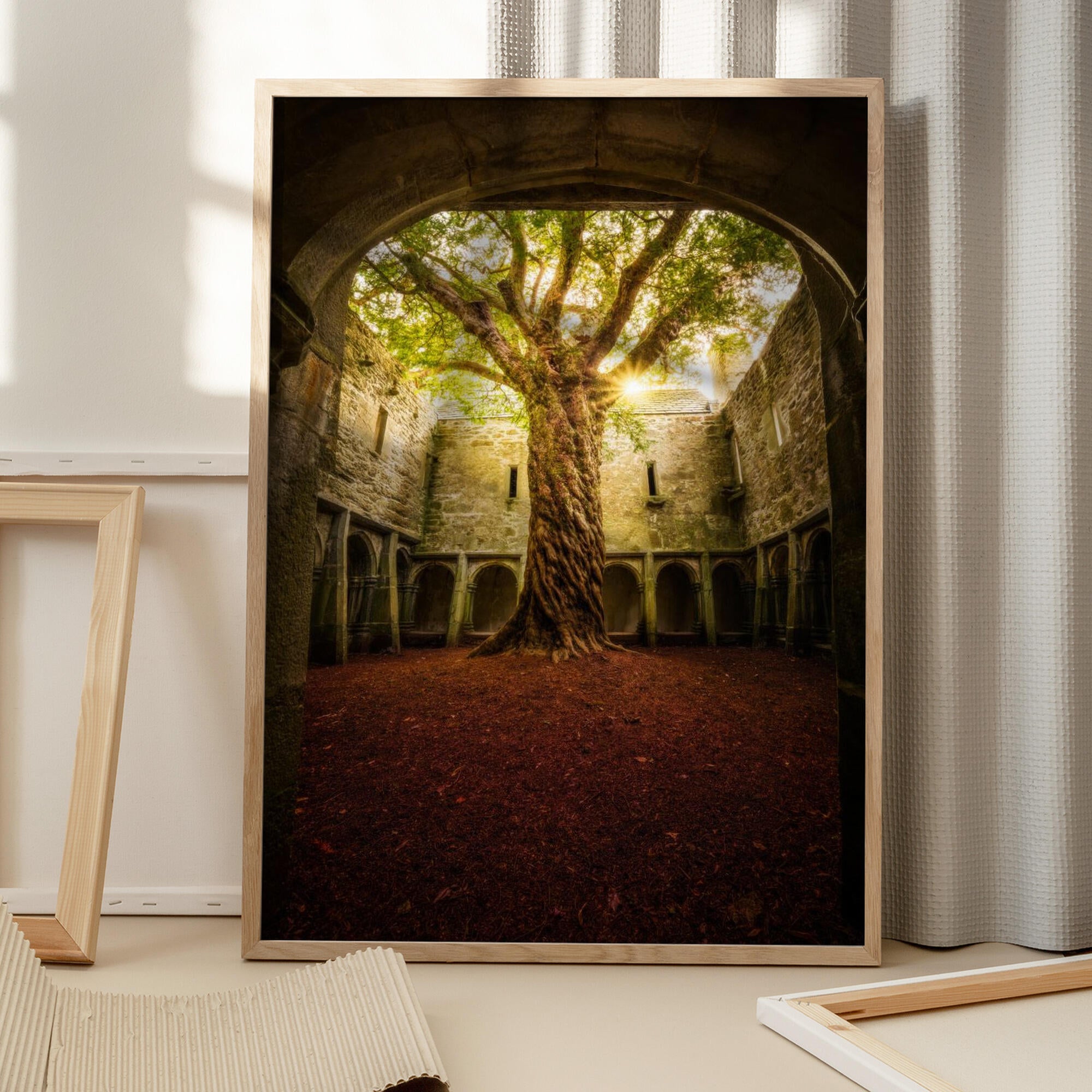 "Muckross Abbey - Tree of Life"