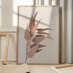 Dried Eucalyptus