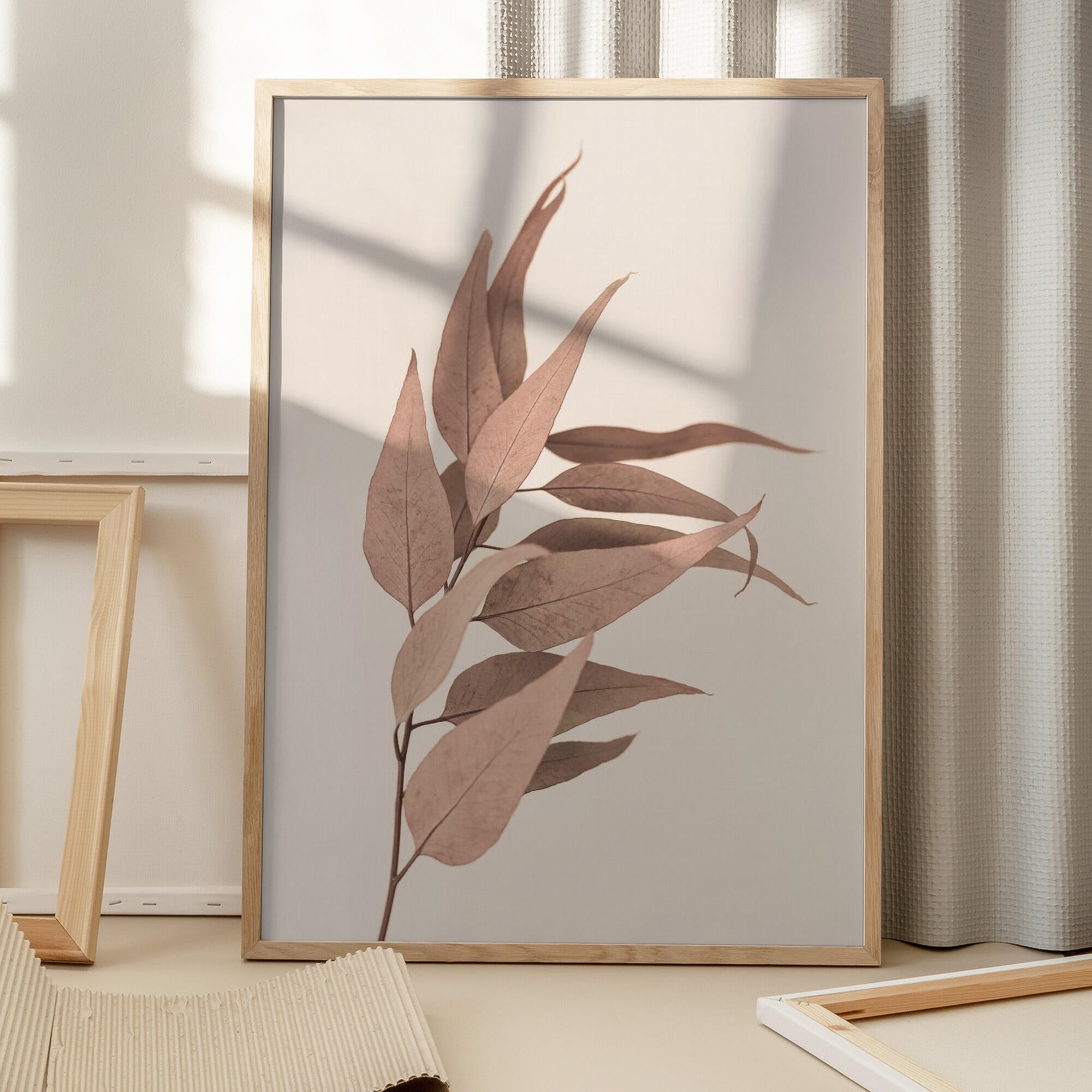 Dried Eucalyptus