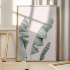 Blush Banana Leaves