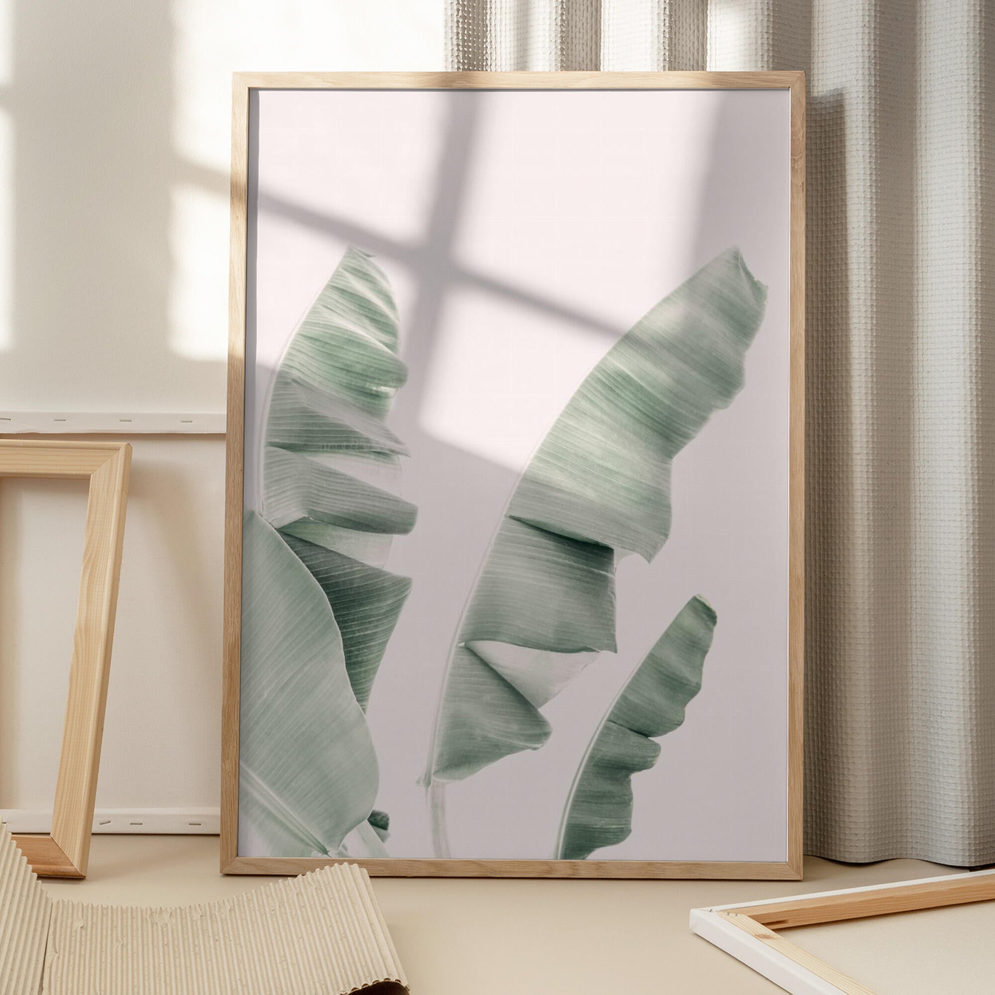 Blush Banana Leaves